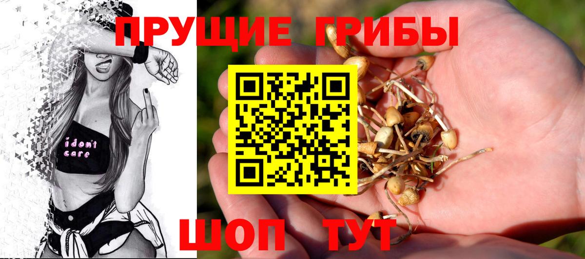Малоярославец  Галлюциногенные грибы Magic Shrooms  Вход с VPN 
